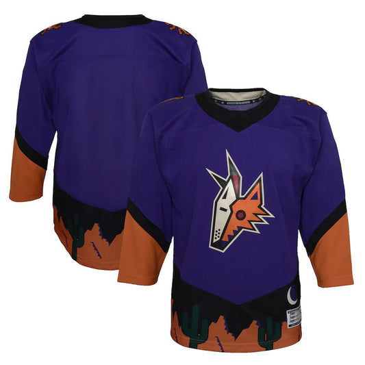 A.Coyotes 2020-21 Special Edition Premier Jersey Purple Stitched American Hockey Jerseys CustomName
