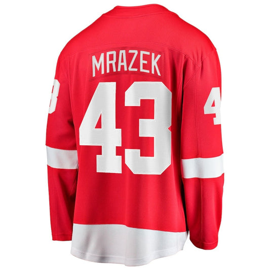 D.Red Wings #43 Petr Mrazek Fanatics Home Breakaway Jersey - Red Stitched American Hockey Jerseys CustomName